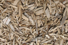 biomass boilers White Moor
